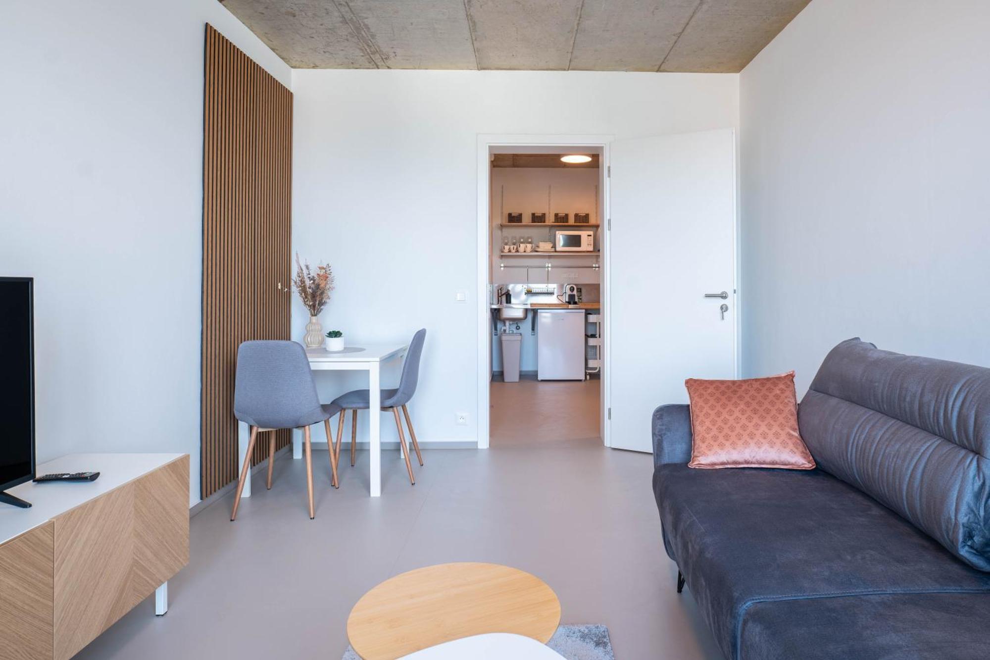 Gocarova Trida Apartment